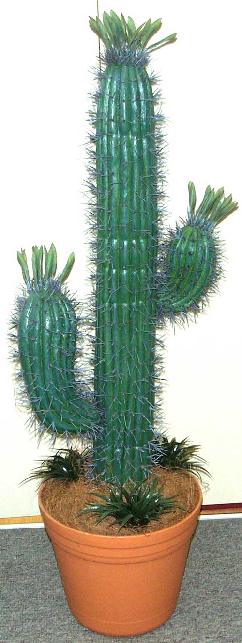 MEXICAN-CACTUS-WITH-LEAVES-60cm